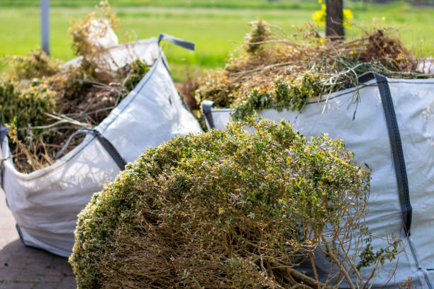 Best Commercial Junk Removal  in Montrose, CO